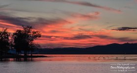 11-24-2017_0222-HDR.jpg