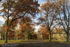 DSC_4753 low res.jpg