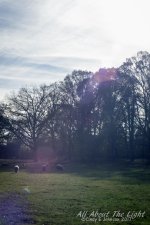 DSC_4762 low res.jpg