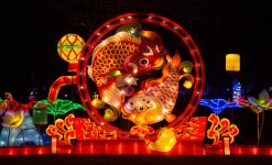Chinese Lanterns 2017 1-8.jpg