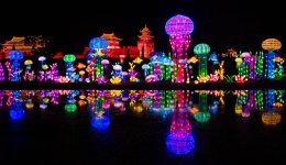 Chinese Lanterns 2017 1-3.jpg