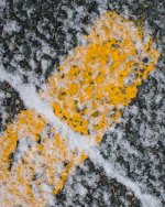 DSC_1843.jpg