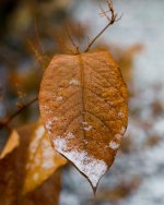 DSC_1913.jpg