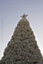 11-23-17-cr__7503105.jpg