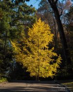 11-28-2017_0042-Edit.jpg