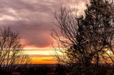 Morning Sun-9767.jpg