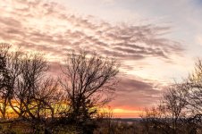 Morning Sun-9772.jpg