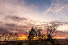 Morning Sun-9776.jpg