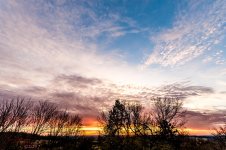 Morning Sun-9777.jpg