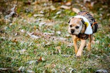 Morning Walk-9789.jpg