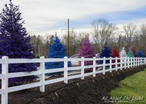 DSC_4819 low res.jpg