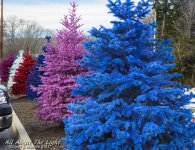 DSC_4821 low res.jpg