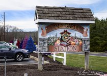 DSC_4832 low res.jpg