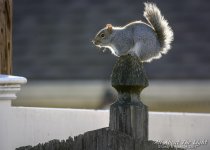 DSC_3647 low res.jpg