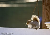 DSC_3650 low res.jpg