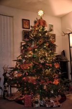 12-7-17-cr__7503299.jpg