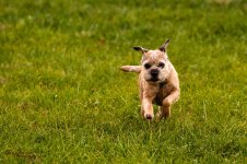 jersey girl-9860.jpg