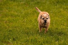jersey girl-9861.jpg