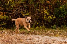 jersey girl-9866.jpg