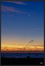 _71D2679.jpg