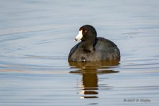 D73_1276-Edit.jpg