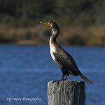 DSC_6889.jpg
