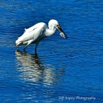 DSC_6880.jpg