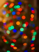 lensbaby60-DSC_8143-0002.jpg