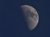 12-26-17-cr__D7K8052.jpg