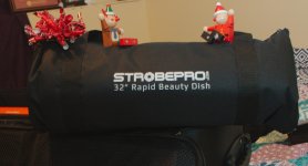 sm 32 beauty dish-DSC_8508-0001.jpg