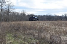 Barn.jpg