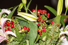 D73_1314.jpg