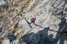 Billy-Goat-A-Fuji_01.jpg