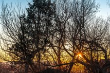 2018 Jan 1 and 2-0335.jpg