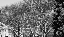 DSC_82292.jpg