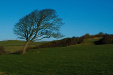 DSC_0007edit2.jpg