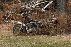 Motorcycle.jpg
