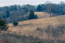 Mid day walk-3276.jpg