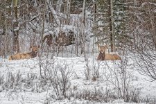 _IVA0166_DxO.jpg