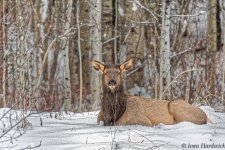 _IVA0185_DxO.jpg
