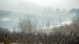 1-DSC_7418-Edit.jpg