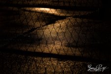 W_DFG_3421.jpg