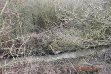 DSC_0351e.jpg