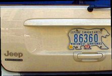 Bear lic plate_5.jpg