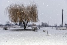 1-DSC_0133.jpg