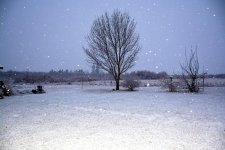 1-DSC_0136.jpg