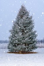1-DSC_0137.jpg