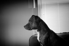 _DSC0008_6.jpg