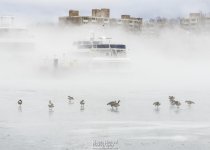 Jan-12-DC-Potomac-Ice-Fog_09.jpg
