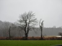 DSCN2922.jpg